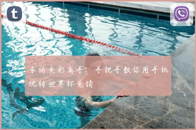 专访竞彩高手：手把手教你用手机玩转世界杯竞猜