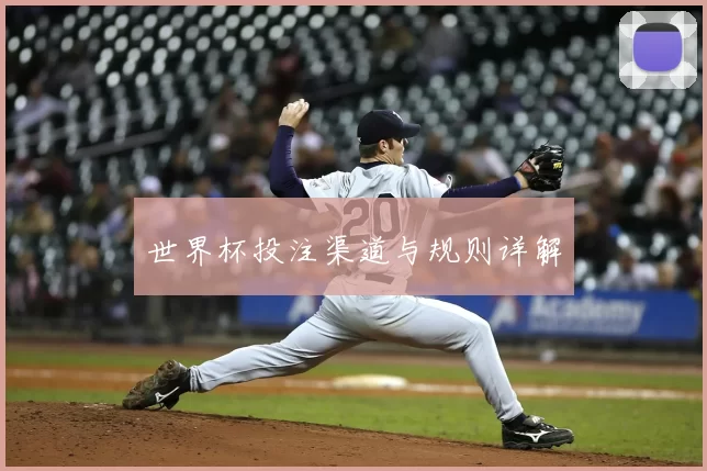 世界杯投注渠道与规则详解