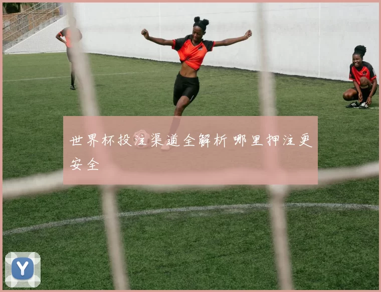 世界杯投注渠道全解析 哪里押注更安全
