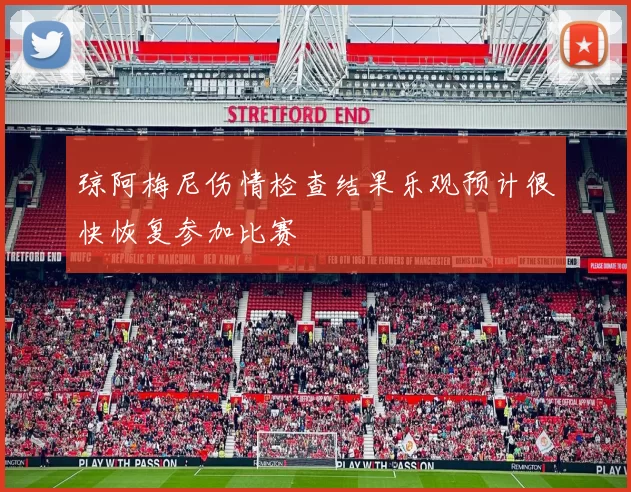 琼阿梅尼伤情检查结果乐观预计很快恢复参加比赛