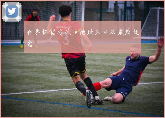 世界杯官方投注地址入口及最新优惠