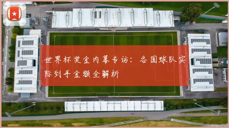 世界杯奖金内幕专访:各国球队实际到手金额全解析