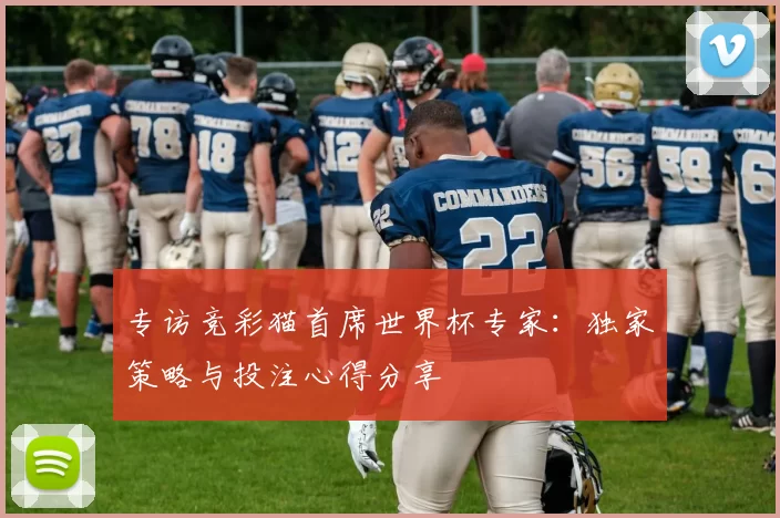 专访竞彩猫首席世界杯专家：独家策略与投注心得分享