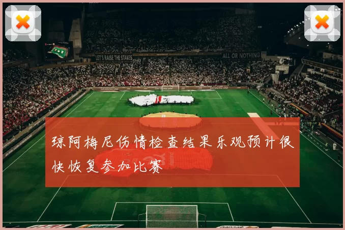 琼阿梅尼伤情检查结果乐观预计很快恢复参加比赛