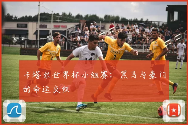卡塔尔世界杯小组赛：黑马与豪门的命运交织