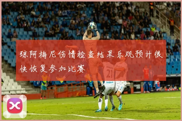 琼阿梅尼伤情检查结果乐观预计很快恢复参加比赛