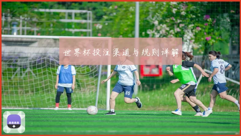 世界杯投注渠道与规则详解