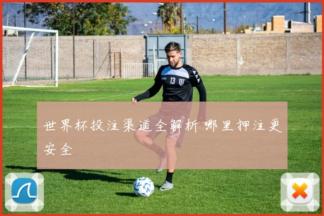 世界杯投注渠道全解析 哪里押注更安全