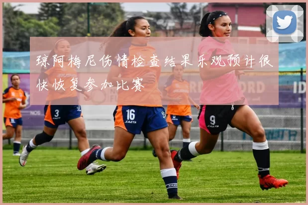 琼阿梅尼伤情检查结果乐观预计很快恢复参加比赛
