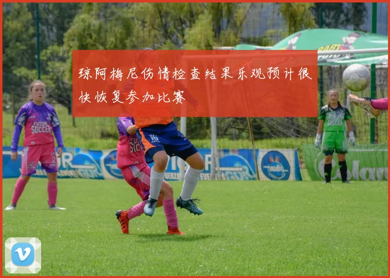 琼阿梅尼伤情检查结果乐观预计很快恢复参加比赛
