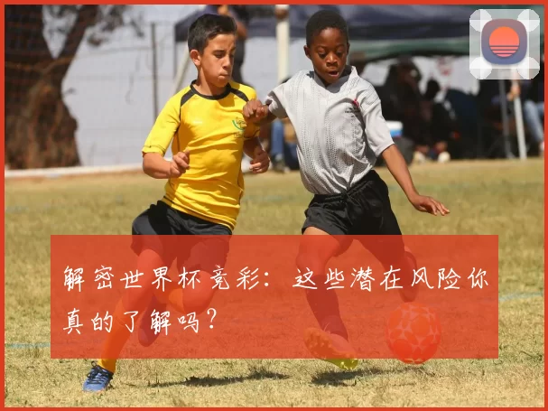 解密世界杯竞彩：这些潜在风险你真的了解吗？