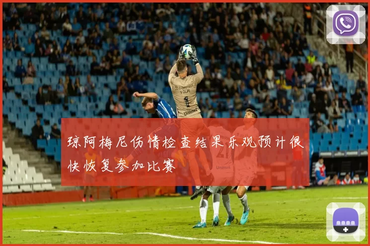 琼阿梅尼伤情检查结果乐观预计很快恢复参加比赛