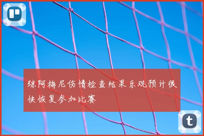 琼阿梅尼伤情检查结果乐观预计很快恢复参加比赛