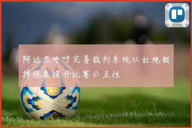 阿达尼呼吁完善裁判系统以杜绝假摔现象提升比赛公正性