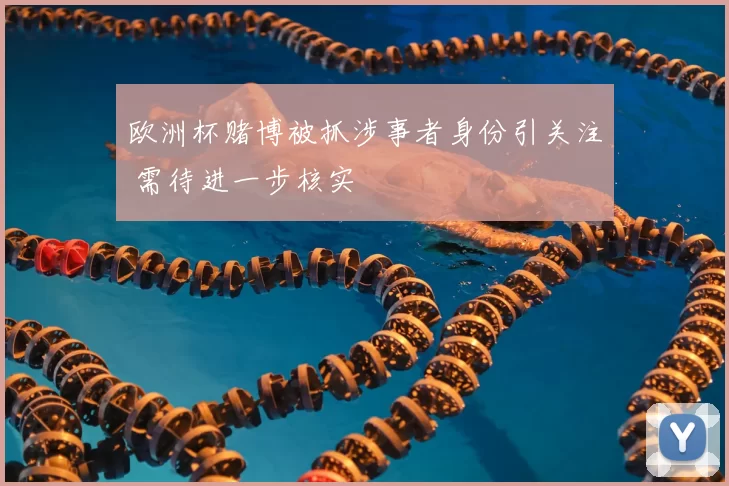 欧洲杯赌博被抓涉事者身份引关注 需待进一步核实