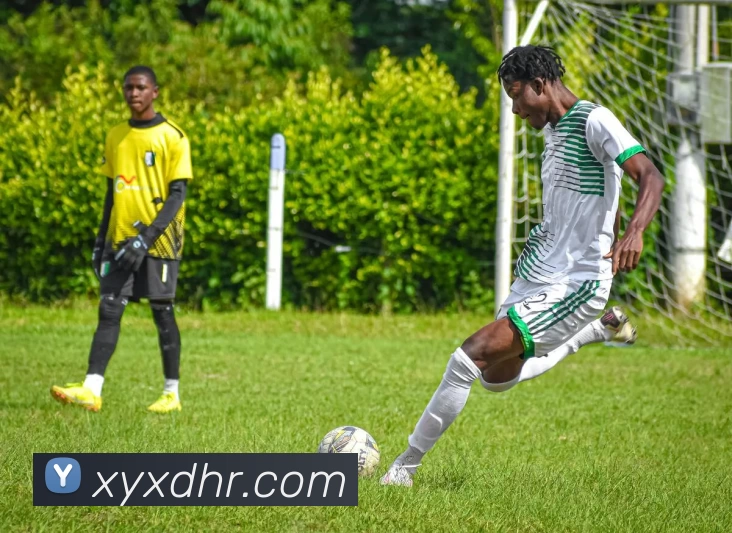 华体会APP 封面图